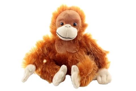 Orangutan 20 cm