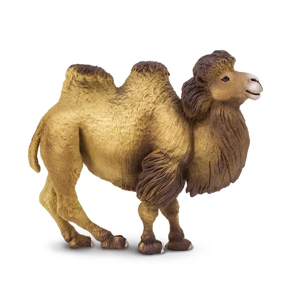 Safari Ltd. figúrka ťavy dvojhrbej