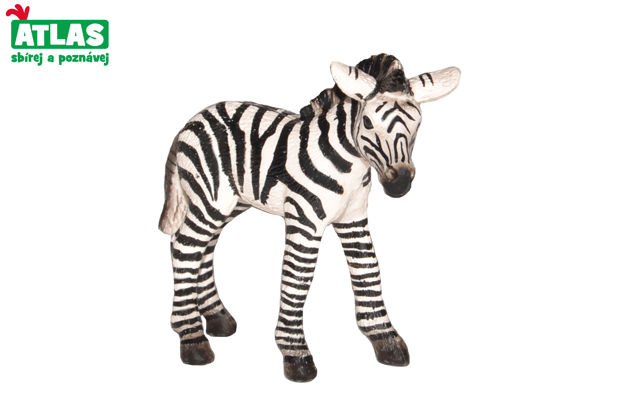 E-shop Atlas B Zebra hříbě 7cm