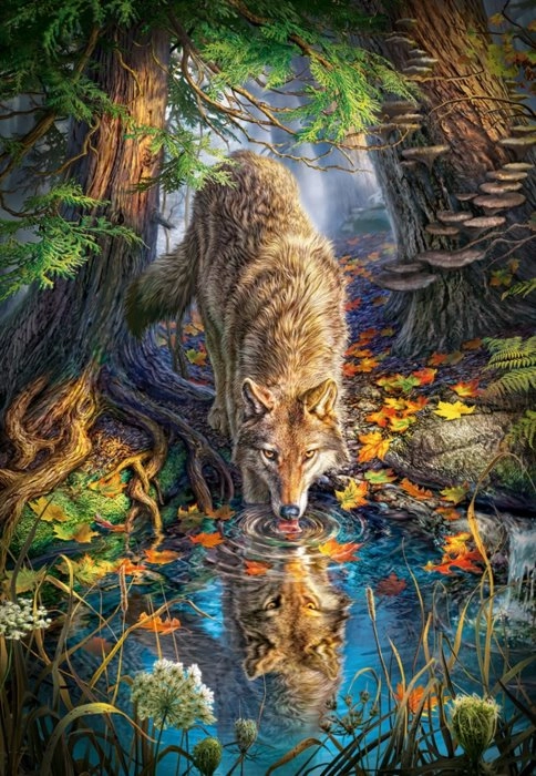 E-shop Castorland Wolf in the Wild 1500 dielov