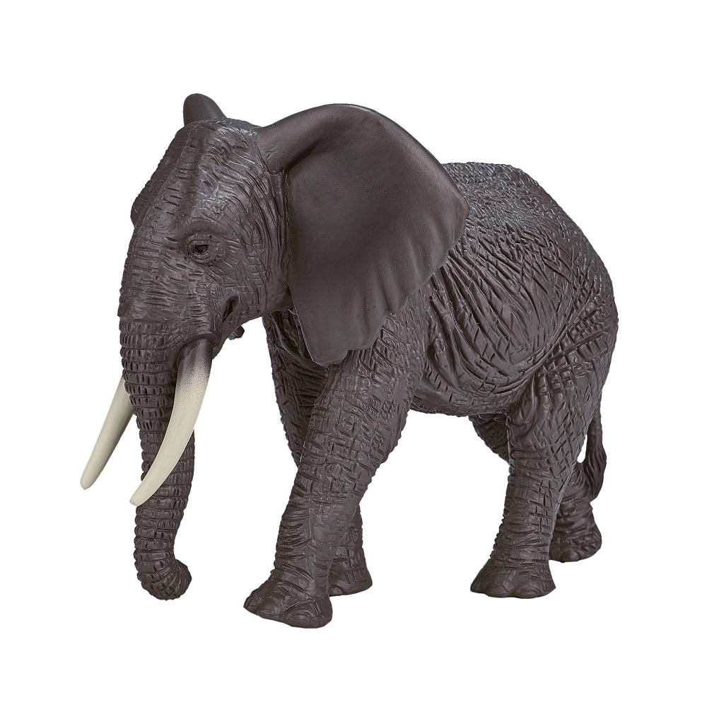 E-shop Mojo Slon Africký s chobotom hore