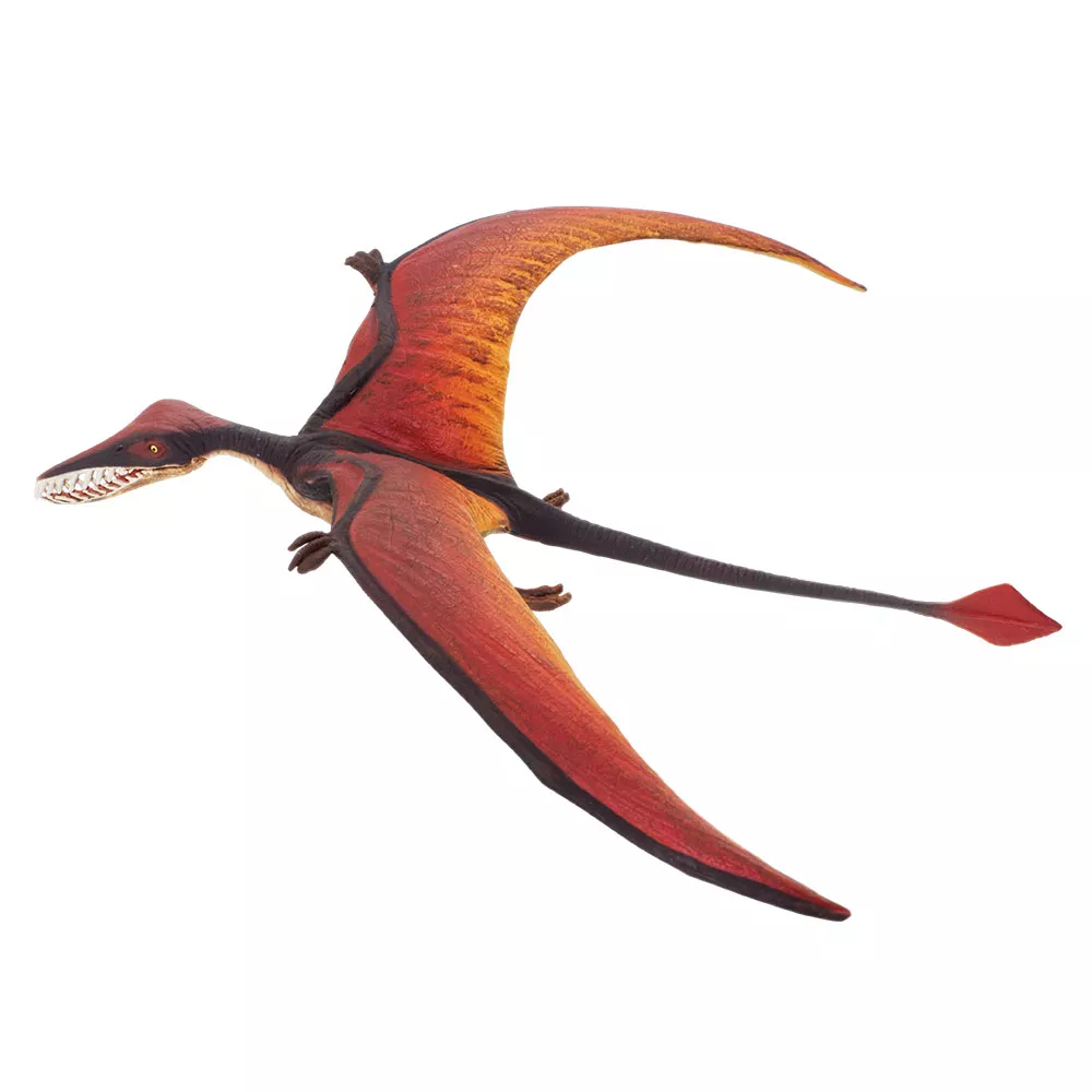 Safari Ltd. ramphorhynchus - 1 kus
