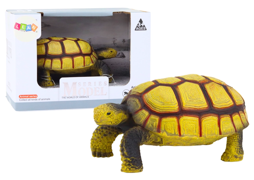 Lean Toys hnedá korytnačka