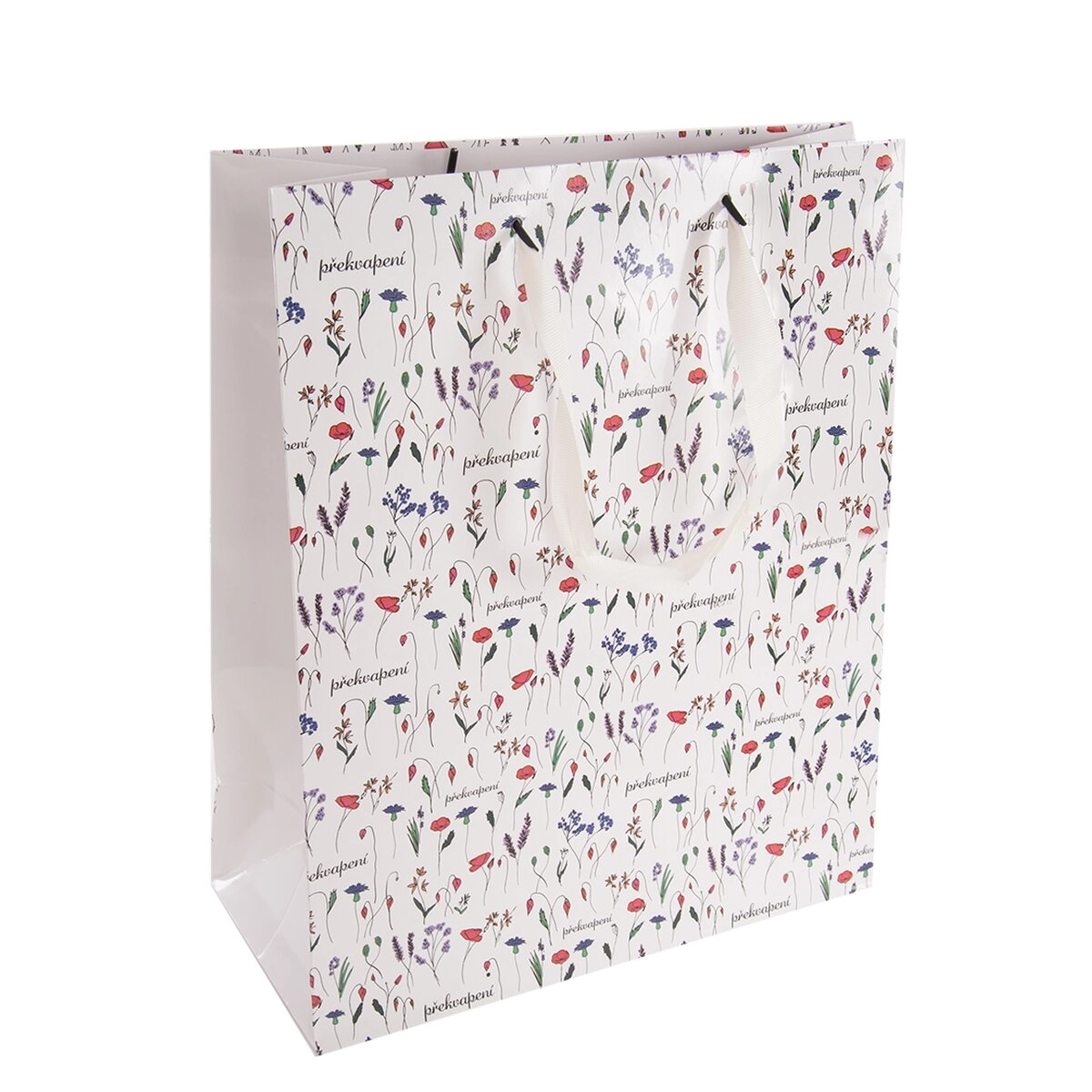 E-shop Darčeková papierová taška Prekvapenie 26 × 12 × 32 cm