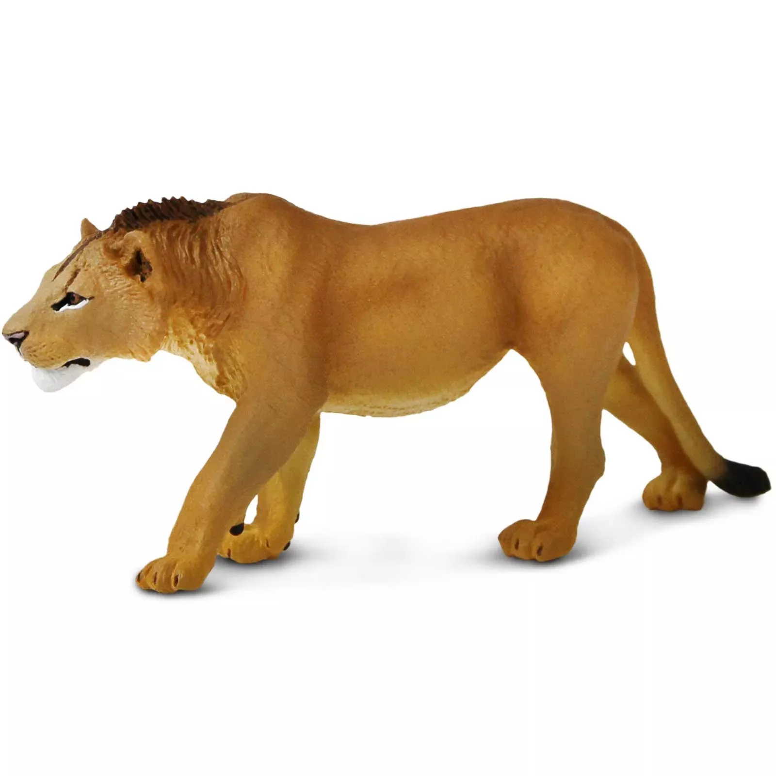 Safari Ltd. figúrka dospievajúceho leva - 1 kus