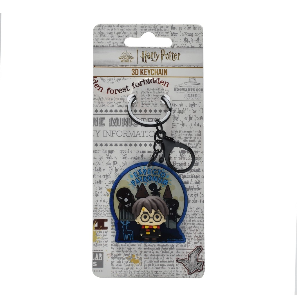E-shop Prívesok na kľúče 3D Harry Potter