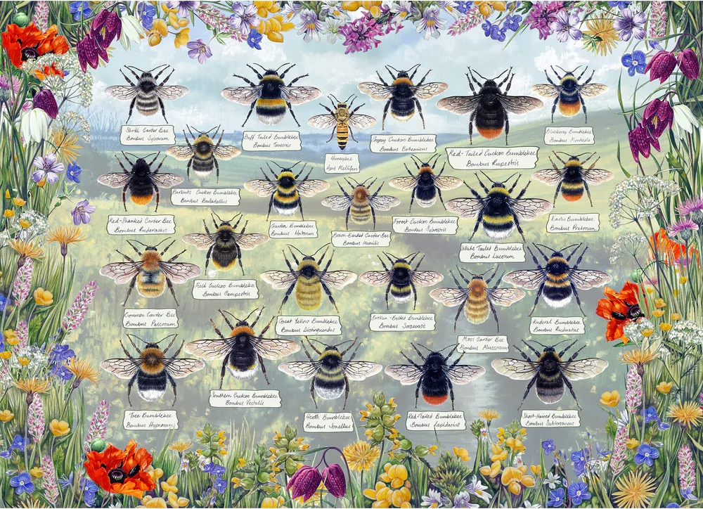 E-shop Gibsons Brilliant Bees 1000 dielov
