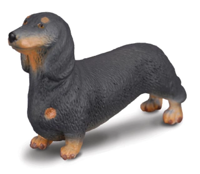 E-shop Figúrka jazvečíka COLLECTA