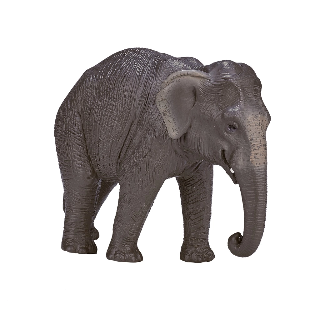 E-shop Animal Planet Slon ázijský