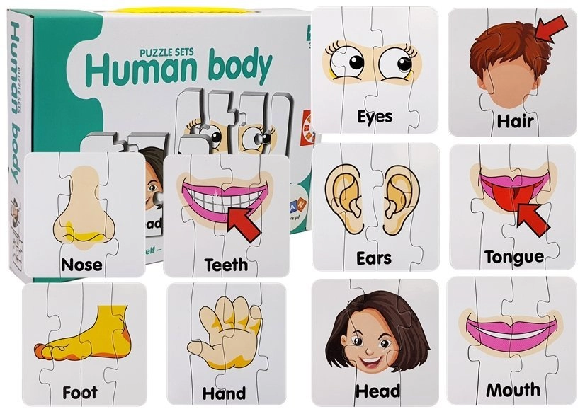 E-shop Lean Toys Vzdelávacia hra Časti tela Puzzle