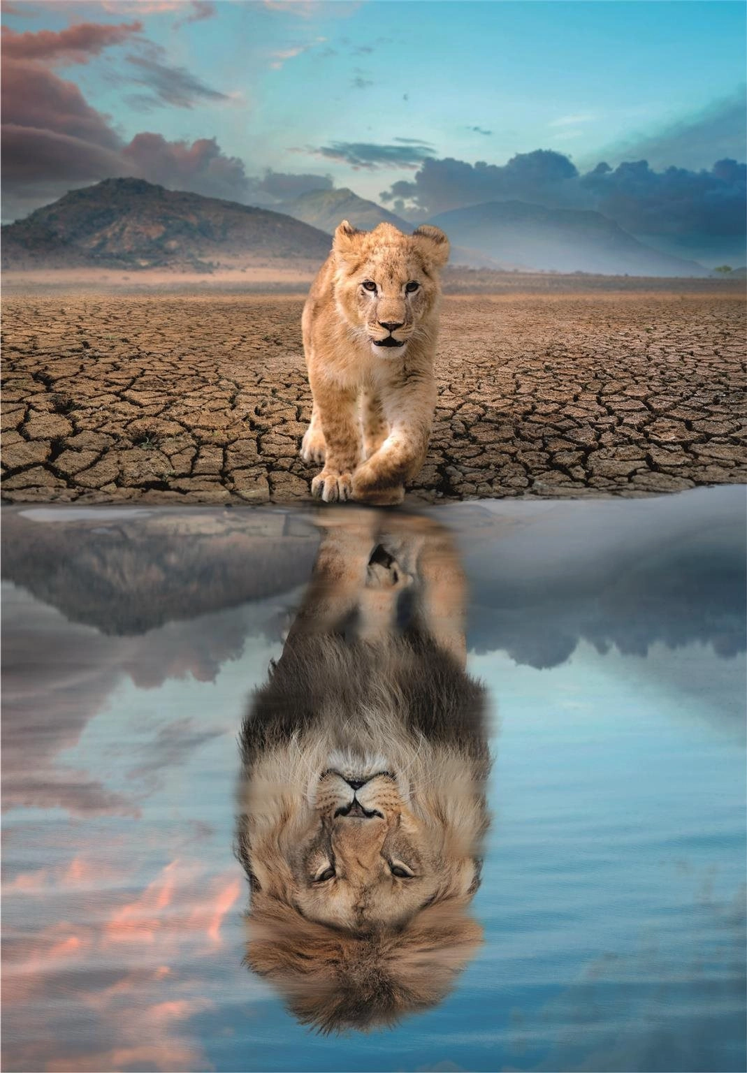 CLEMENTONI Odraz 300 dielov