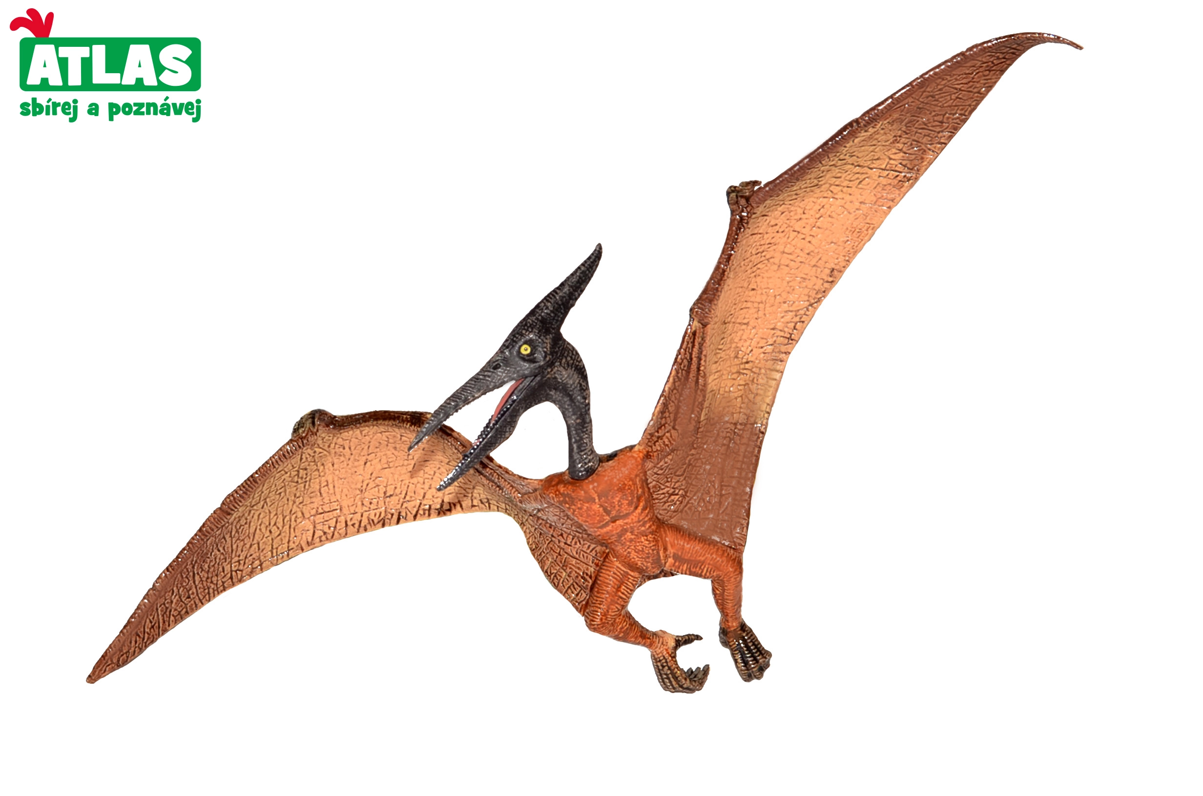 E-shop Atlas C Dino Pteranodon 22cm