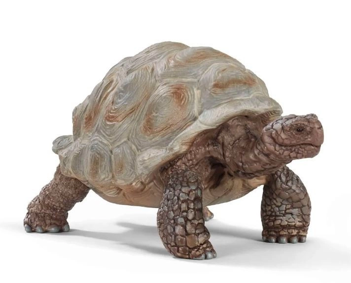 E-shop Figúrka obrej korytnačky WILD LIFE