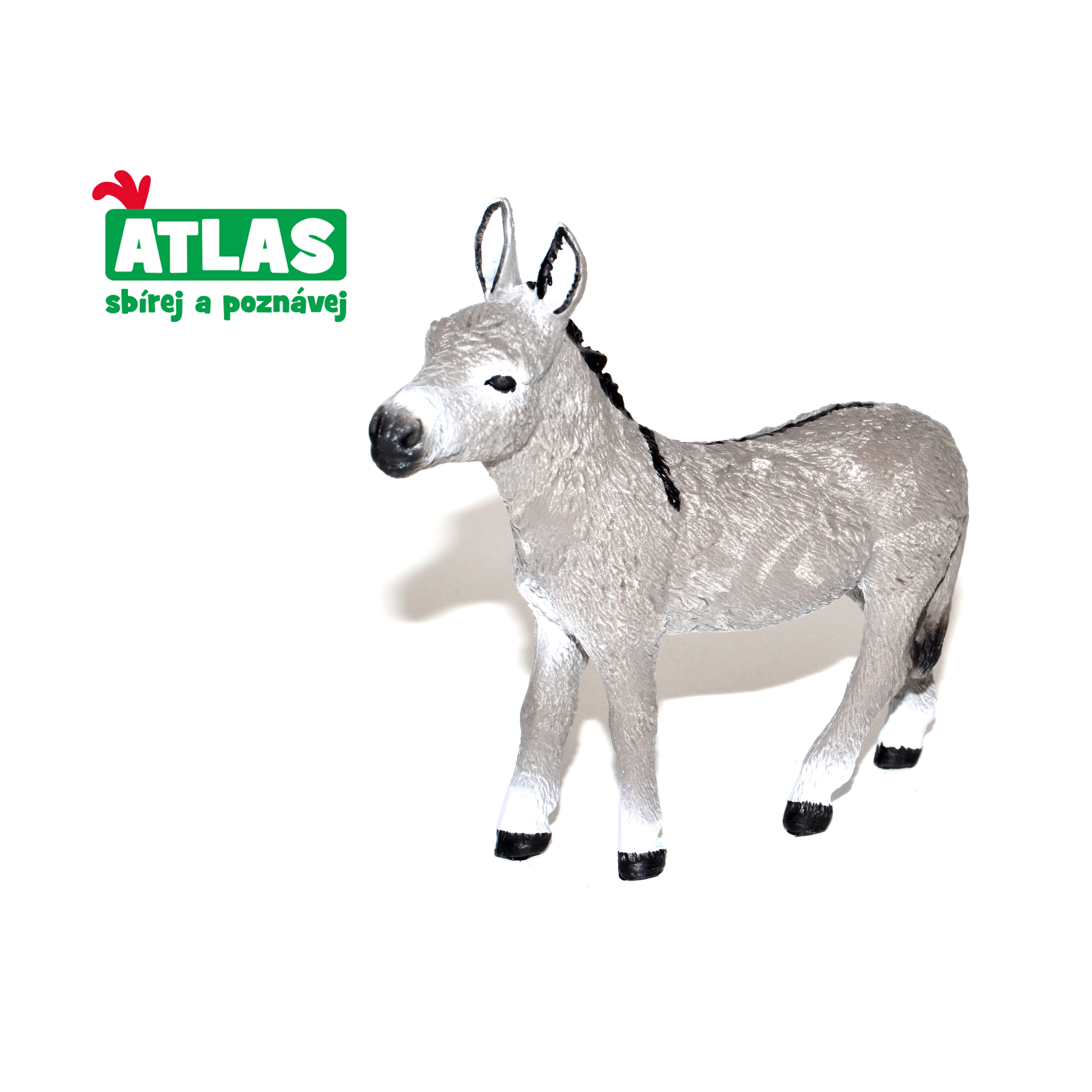 E-shop Atlas B Osel 10 cm