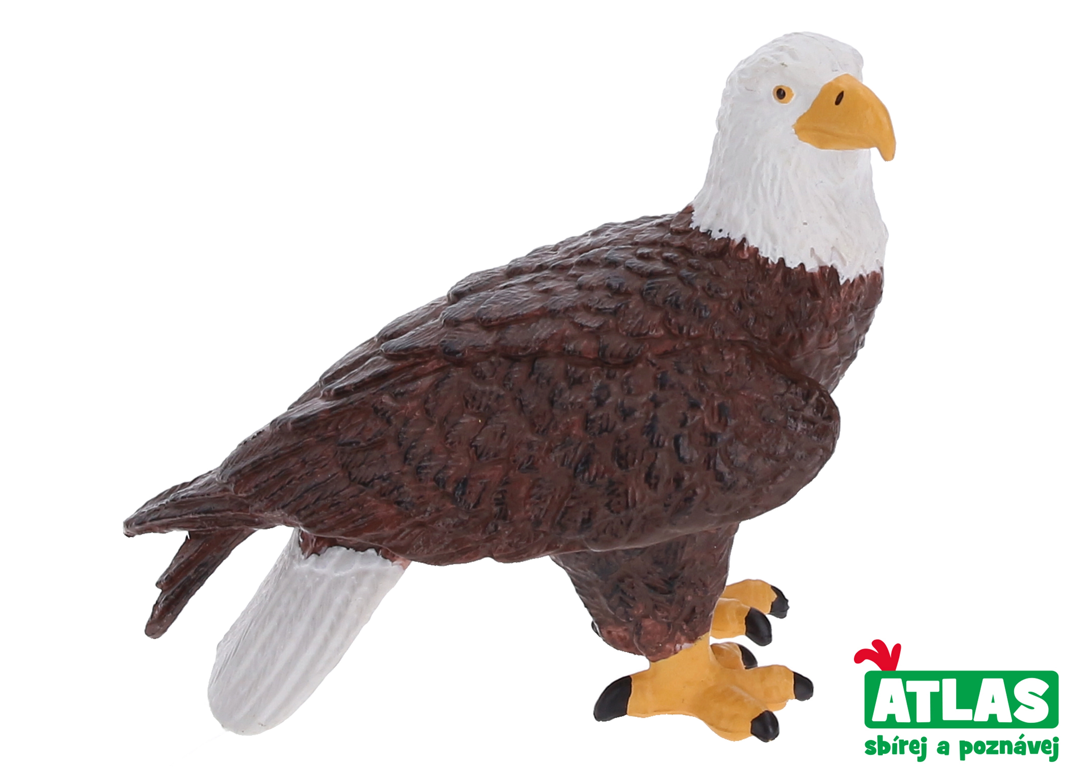 E-shop Atlas B Orel 7 cm