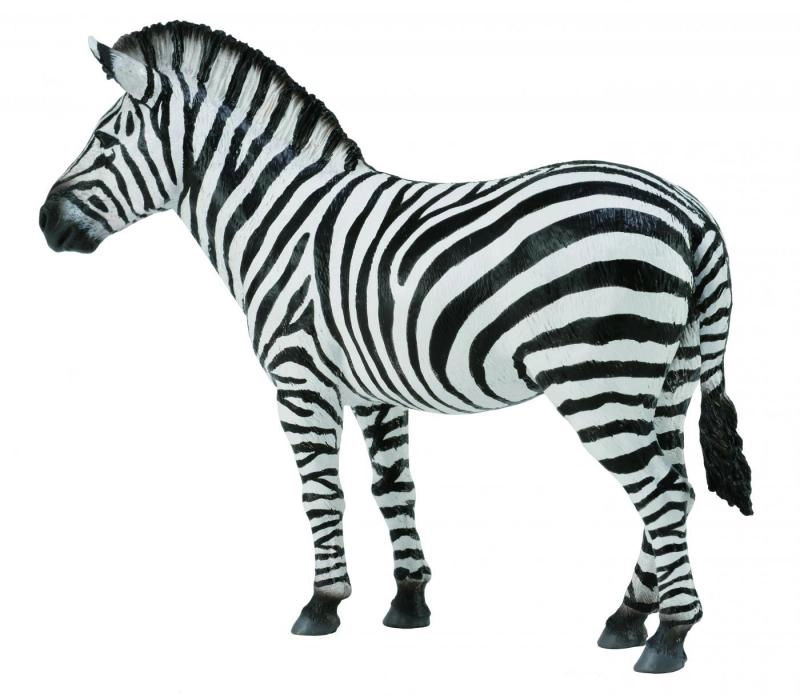 E-shop Collecta Zebra
