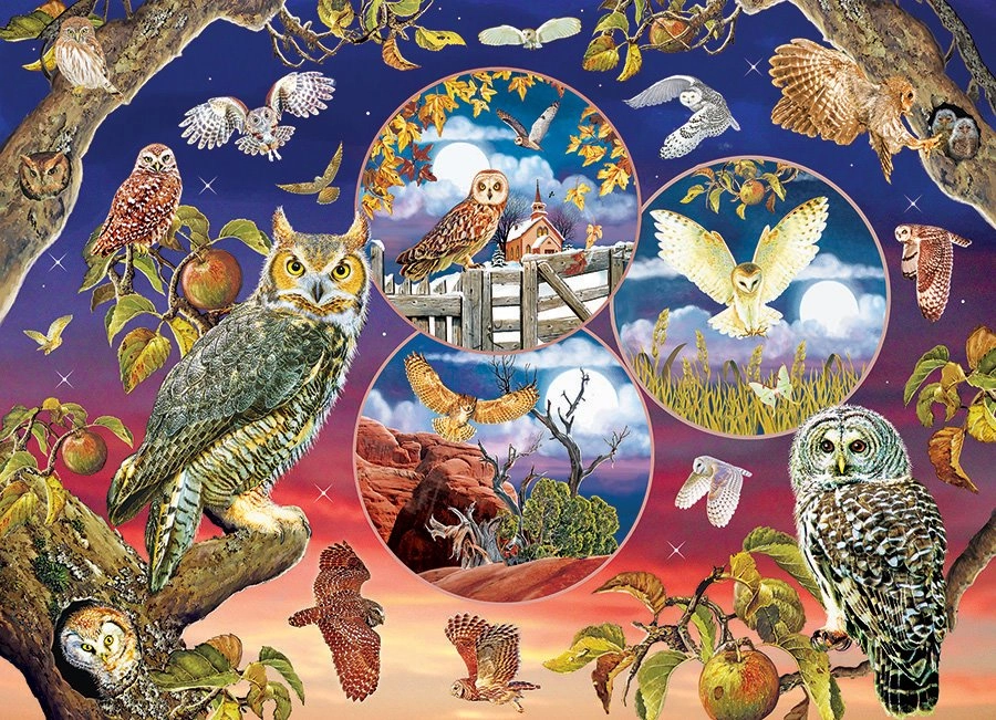 E-shop Cobble Hill Owl Magic 1000 dielov