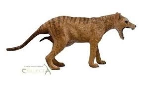 E-shop Collecta Tasmánsky vakovlk Thylacine samica
