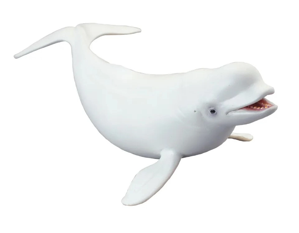 E-shop Collecta Bieluha severná
