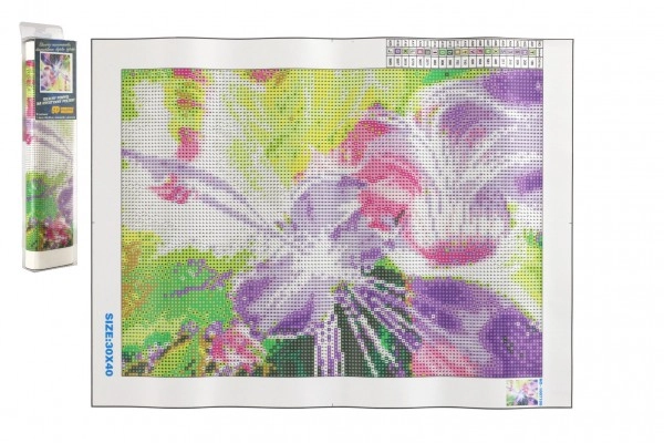 E-shop Norimpex Diamantové maľovanie Magická huslistka 30 x 40 cm