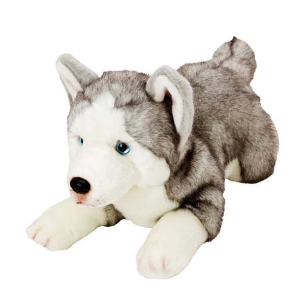 Plyšový pes Husky