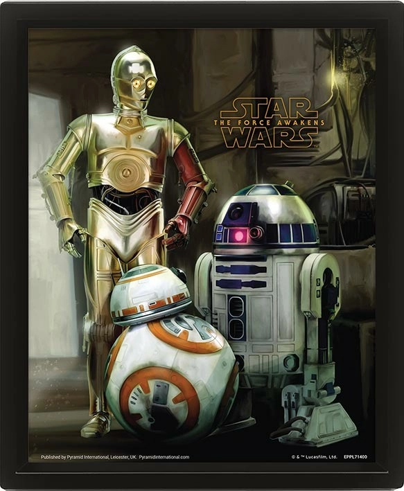E-shop Pyramid International 3D obraz Star Wars Droids