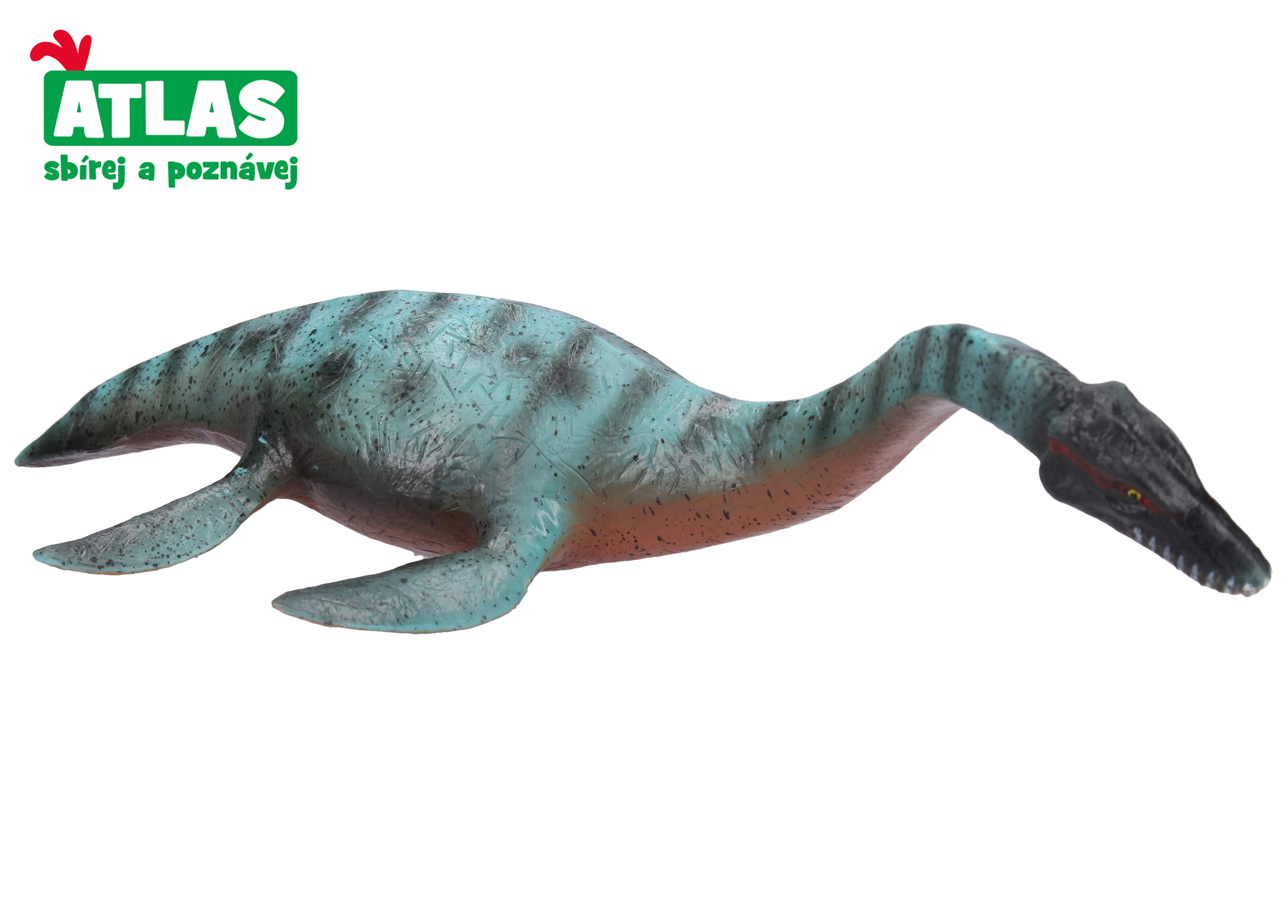 E-shop Figúrka Plesiosaurus 25 cm