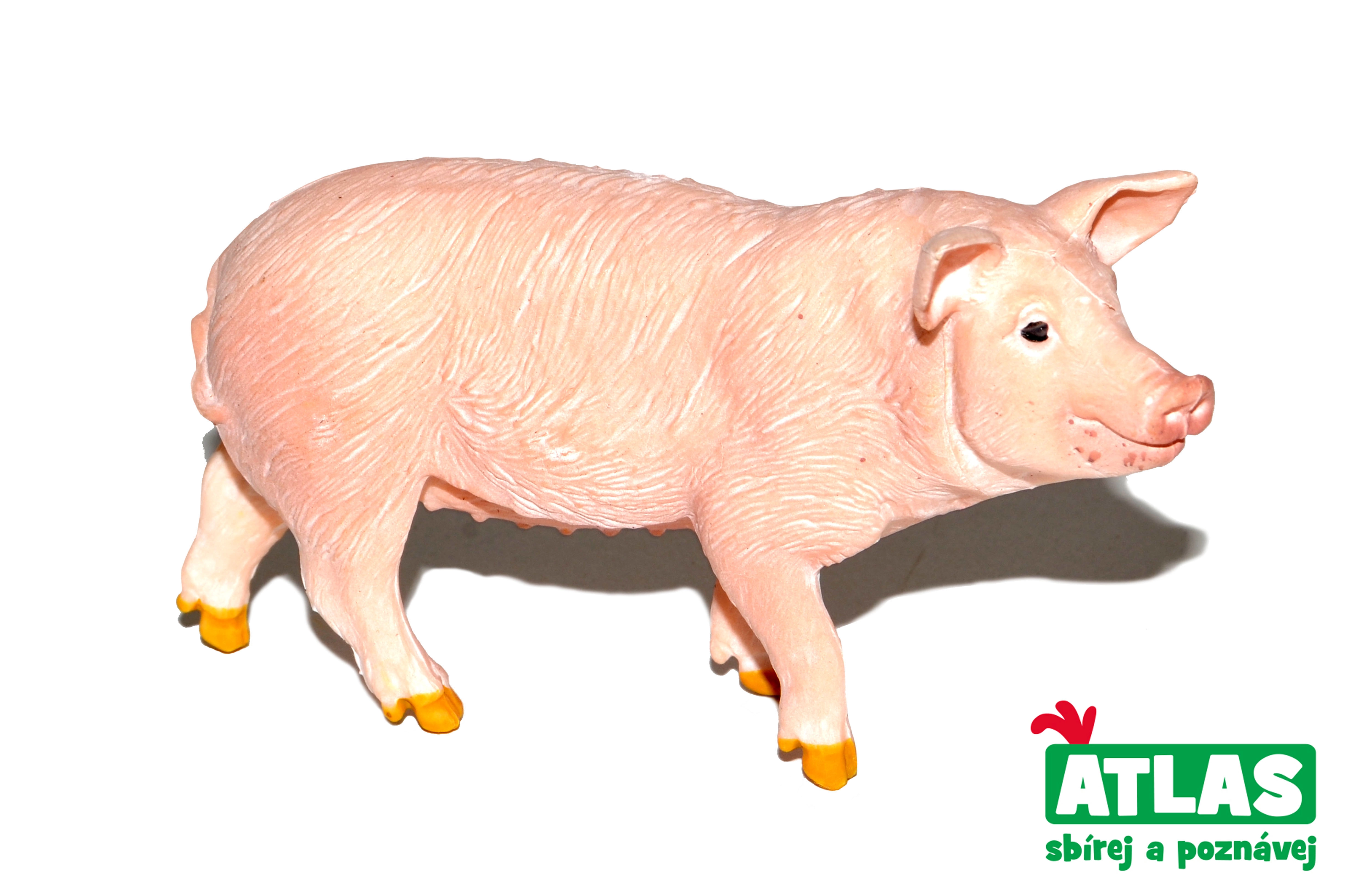 E-shop Atlas B Prase 9 cm