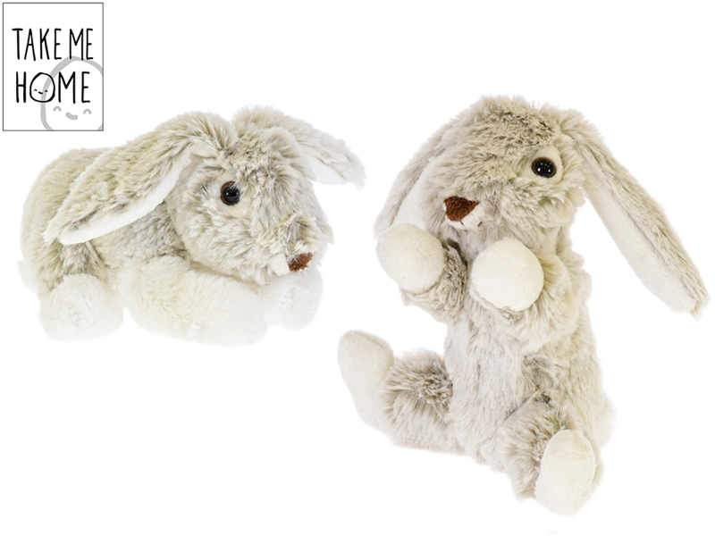 Take Me Home zajačik