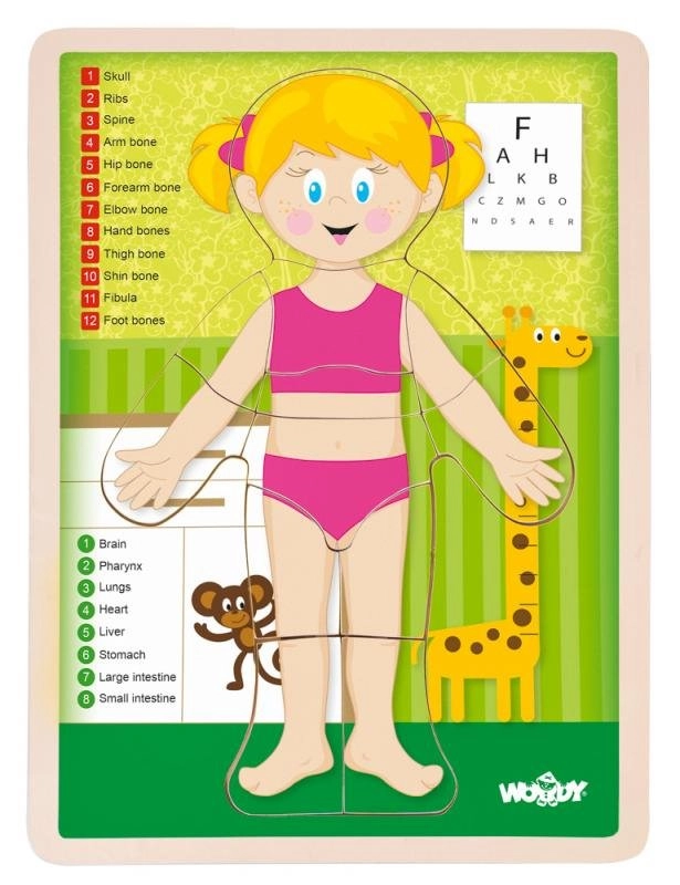 Woody puzzle Ľudské telo dievča EN
