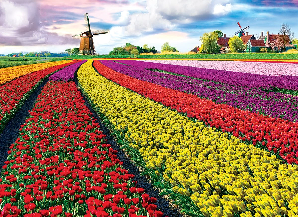 E-shop EUROGRAPHICS puzzle pole tulipánov – 1000 dielikov