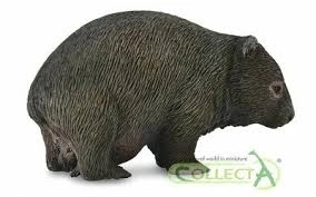 E-shop Wombat Medvedovitý Collecta