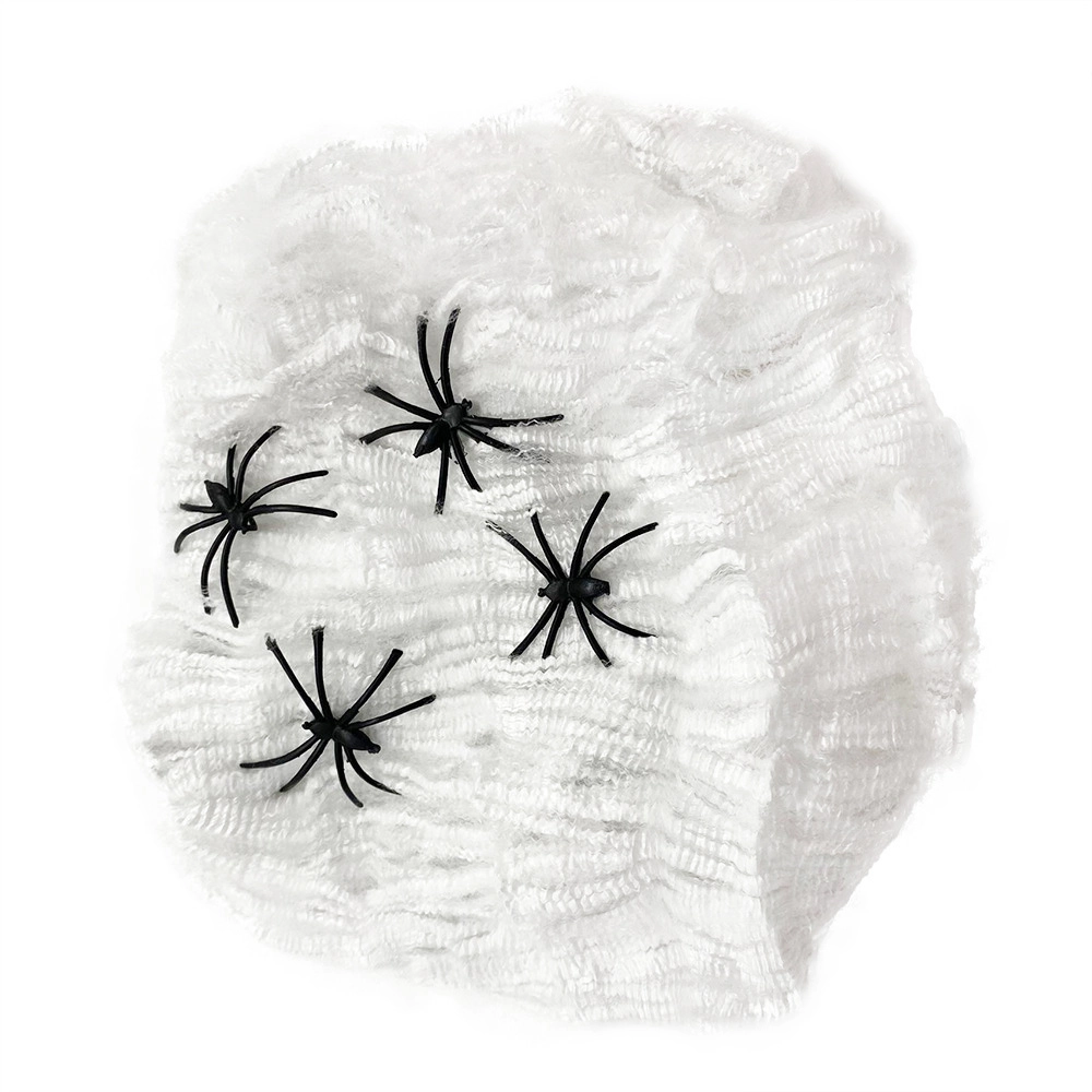 RAPPA Pavúči sieť s pavúkmi