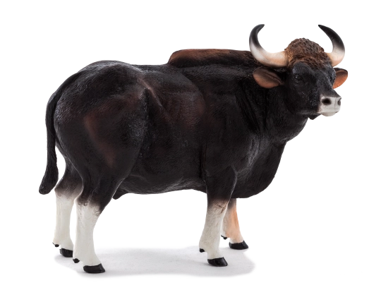 E-shop Animal Planet Gaur býk