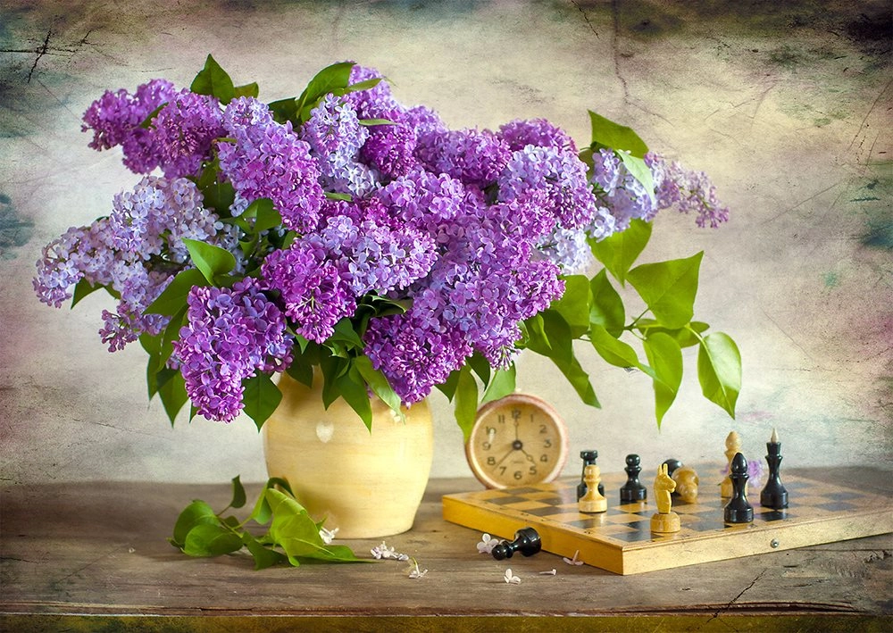 E-shop Enjoy Lilac and Chess 1000 dielov