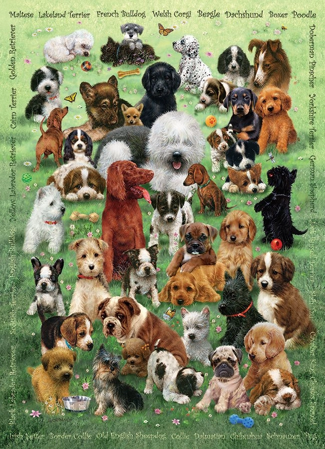 E-shop COBBLE HILL rodinné puzzle Šteniatkovská láska – 350 dielikov