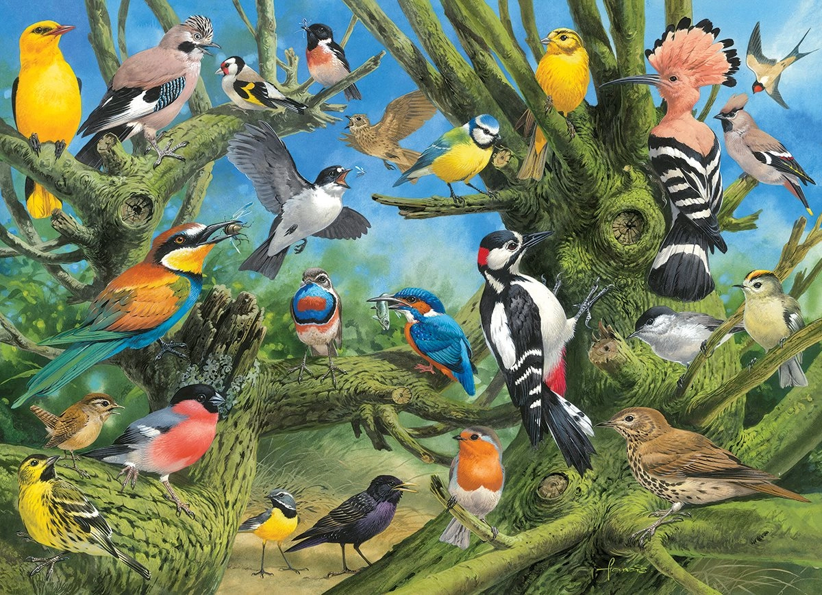 E-shop EUROGRAPHICS puzzle Vtáky v záhrade – 1000 dielikov