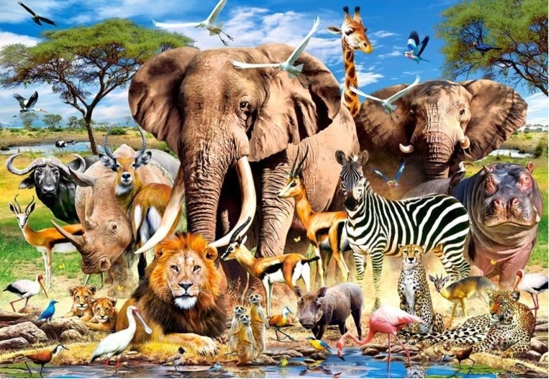 E-shop Castorland Savanna Animals 1500 dielov