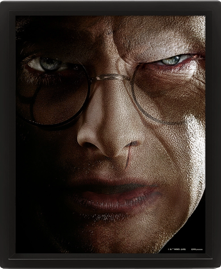 E-shop Pyramid International 3D obraz Harry Potter Harry vs. Voldemort