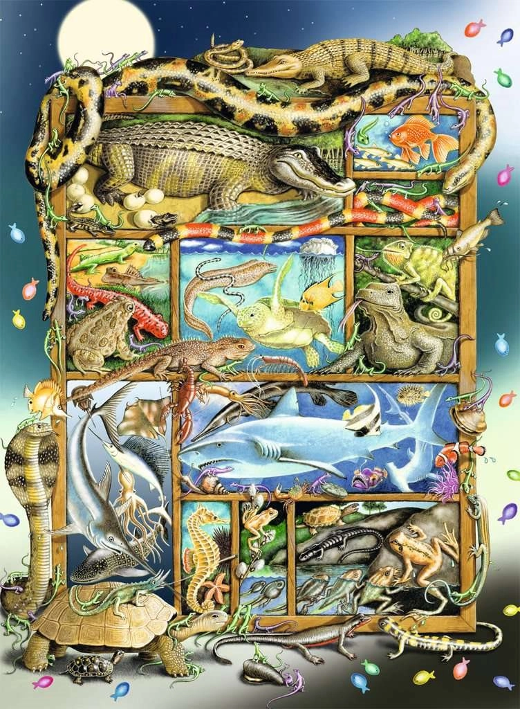 RAVENSBURGER Ryby a plazi XXL 200 dielov