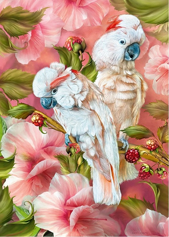 E-shop CHERRY PAZZI puzzle kakadu – duchovia trópov, 1000 dielikov