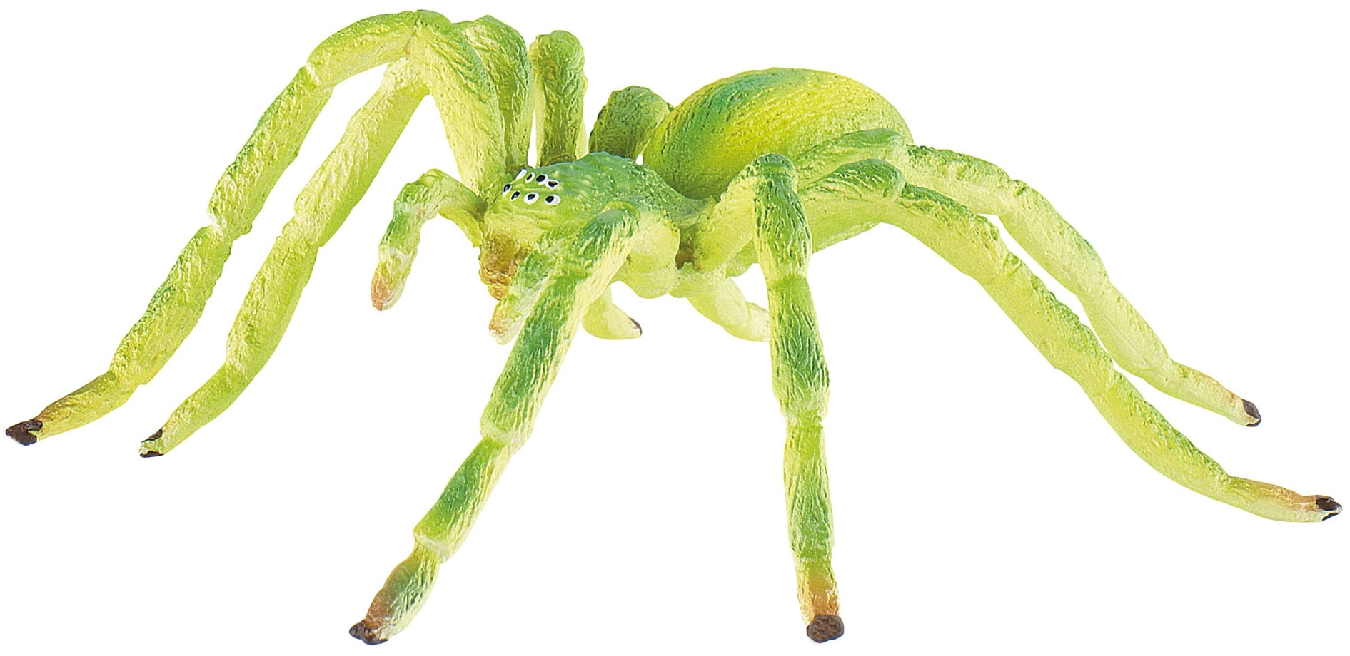 E-shop Bullyland Pavouk Micrommata