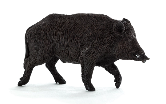 E-shop Animal Planet figúrka diviaka – realistický model pre deti aj zberateľov