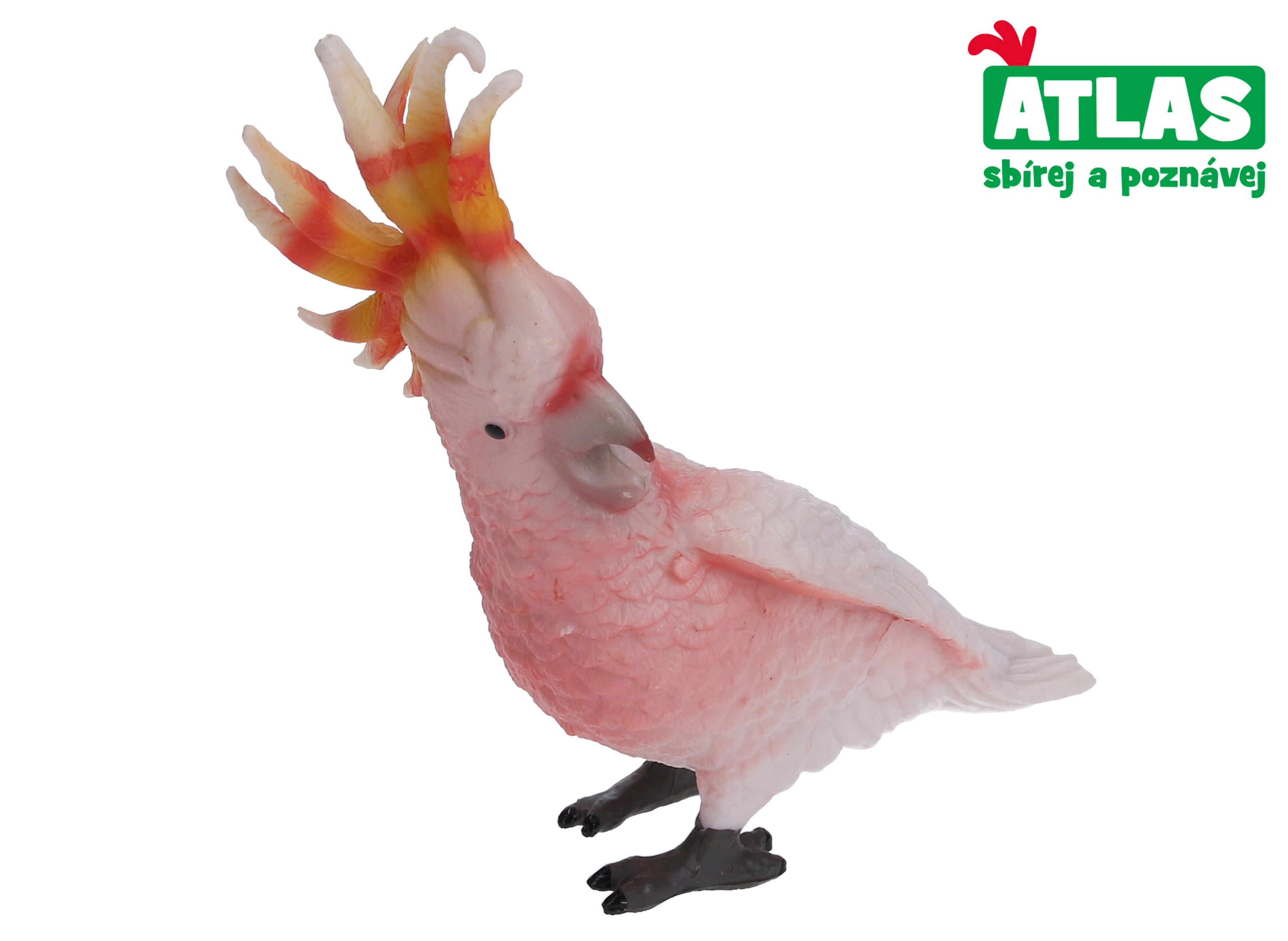 E-shop Atlas B Papoušek 8,5 cm