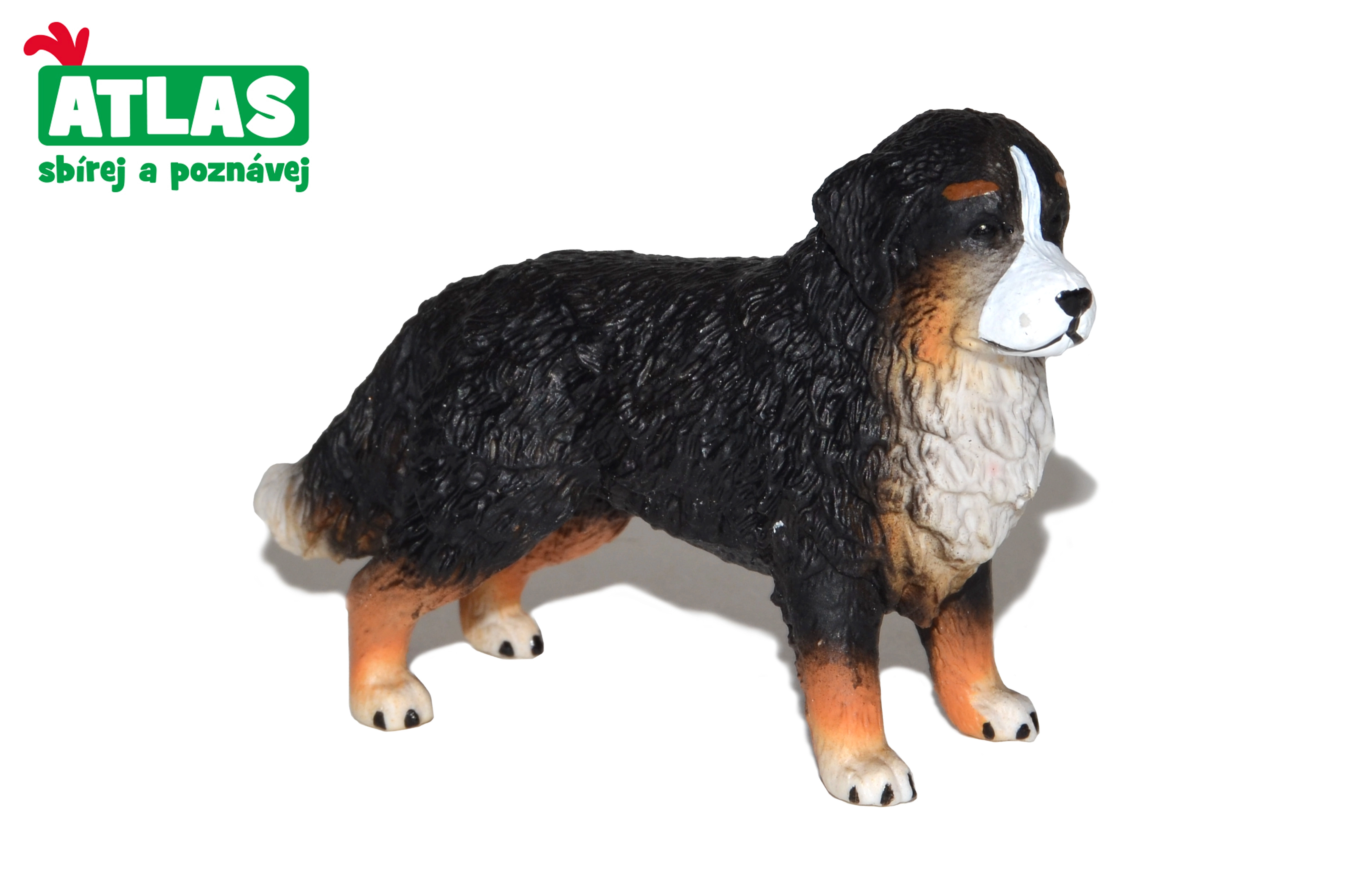 E-shop Atlas B Bernský salašnický pes 8 cm