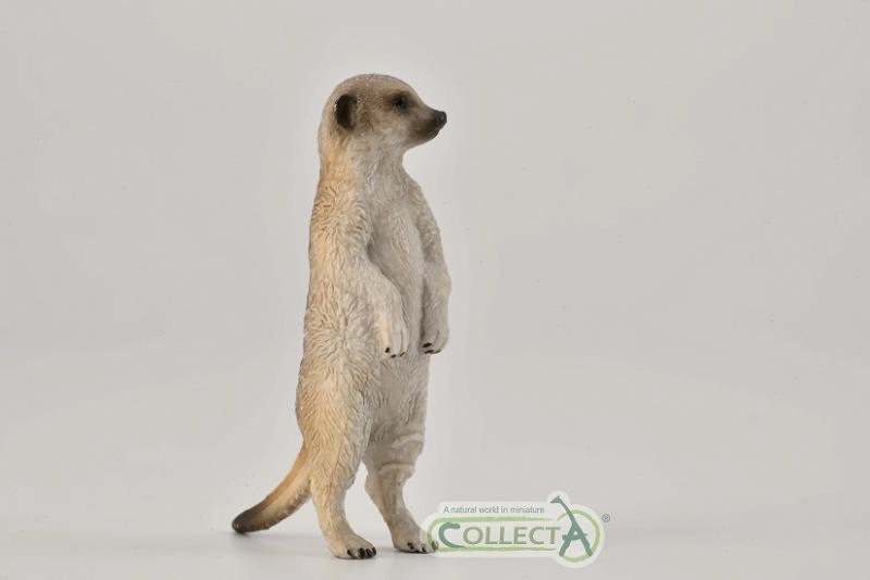 E-shop Collecta surikata stojaca figúrka