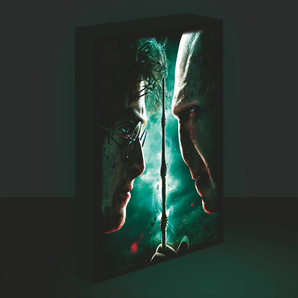E-shop Obraz LED svietiace 30x40, Harry potter - Harry vs. Voldemort