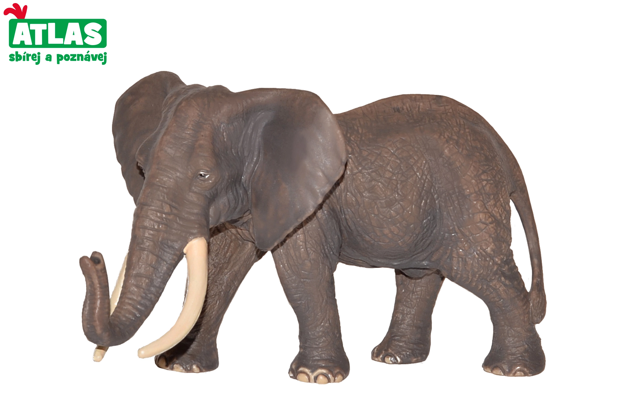 E-shop Atlas E Slon africký 16cm