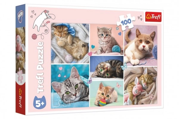 E-shop TREFL V kočičím světě 100 dielov