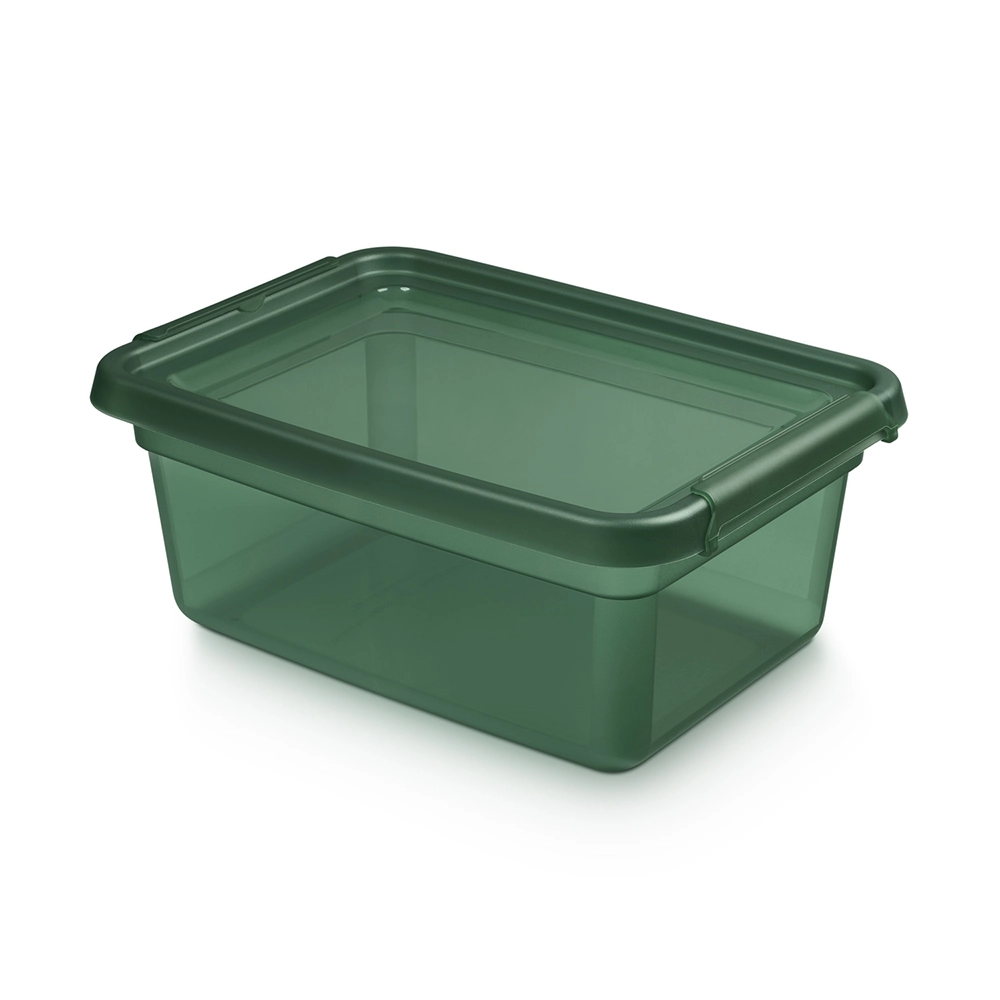 E-shop Basestore úložný plastový box s vekom a klipsami PINE 12,5 l